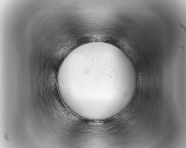 X0000100220318200805300753