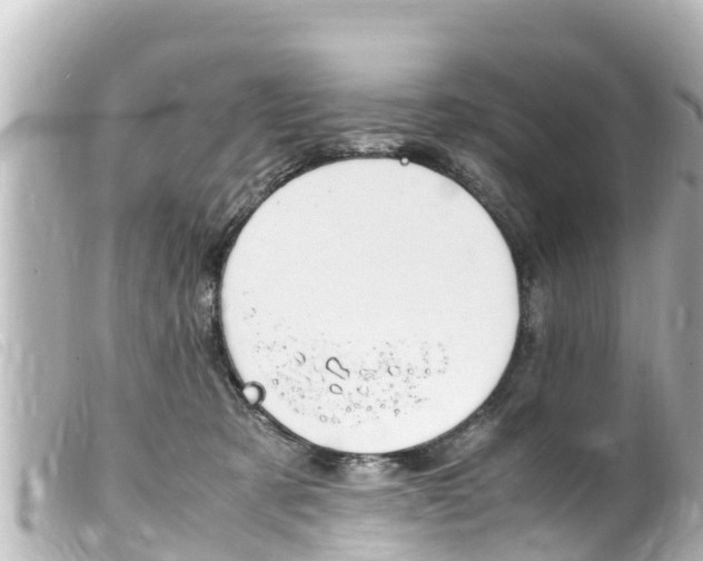 X0000100220321200805300753