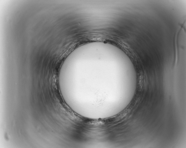 X0000100220322200805300753