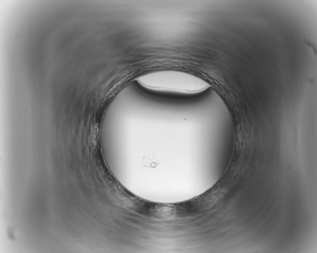 X0000100220325200805300753