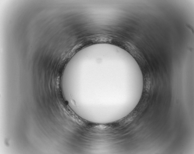 X0000100220326200805300753