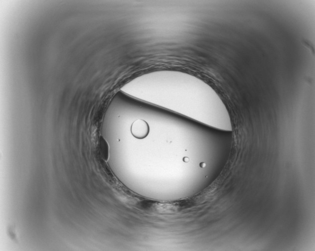 X0000100220327200805300753