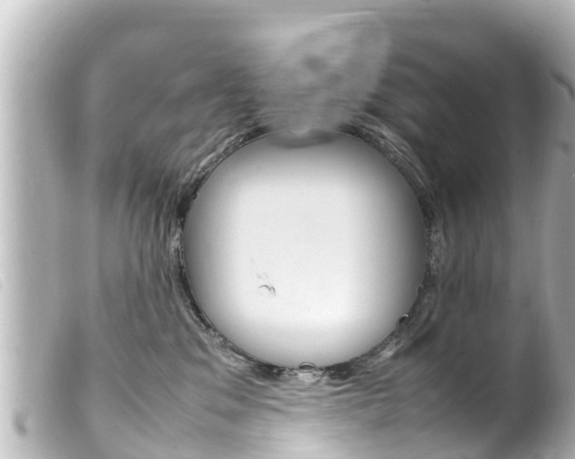 X0000100220329200805300753