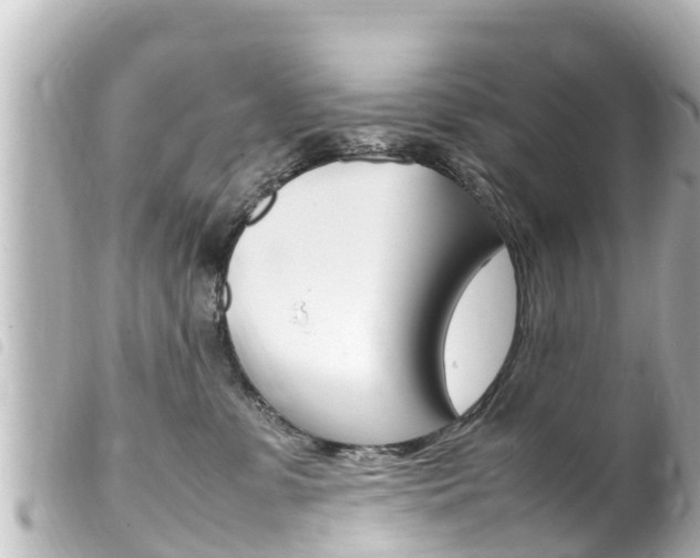 X0000100220331200805300753