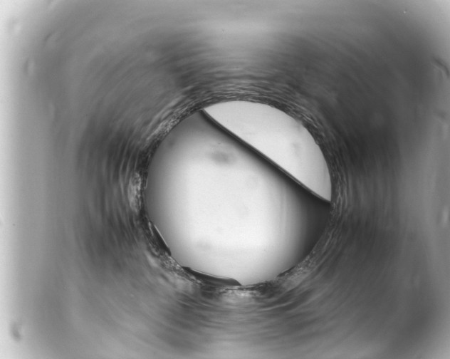 X0000100220332200805300753