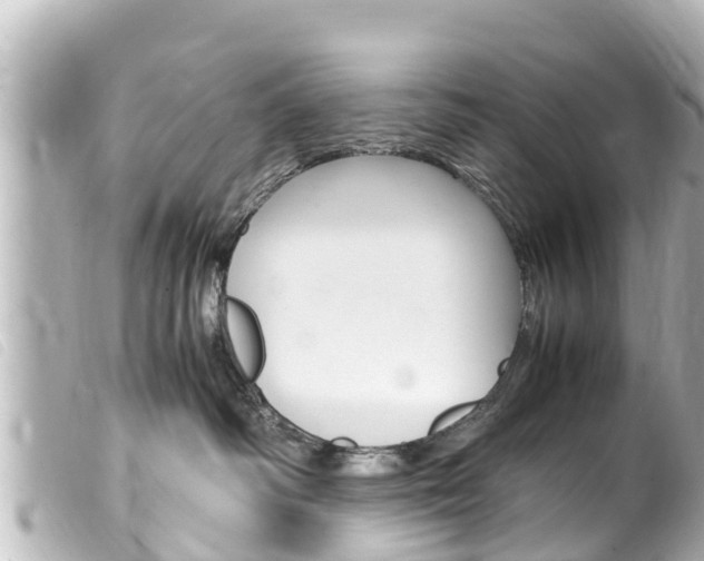 X0000100220334200805300753