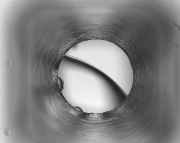 X0000100220335200805300753