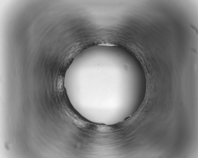 X0000100220336200805300753