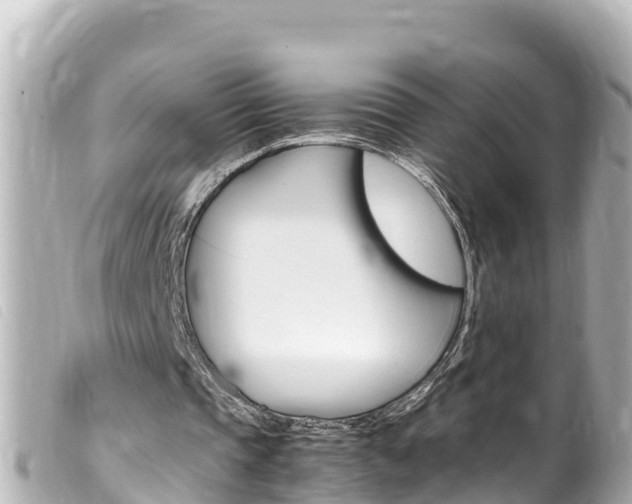 X0000100220337200805300752