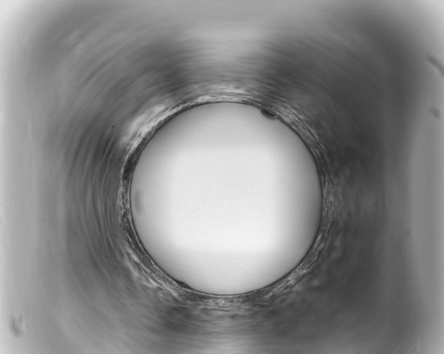 X0000100220338200805300752