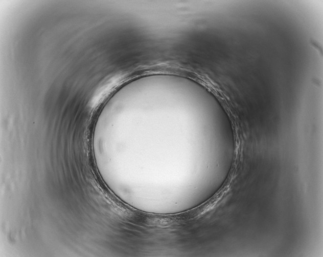 X0000100220341200805300752