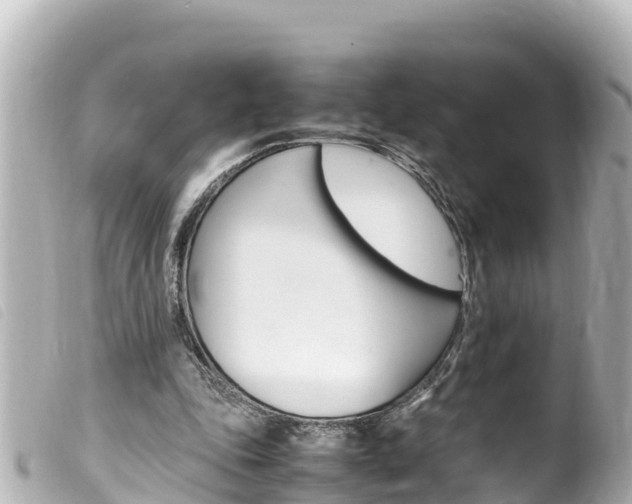 X0000100220343200805300752