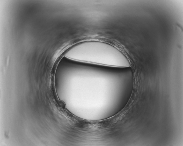 X0000100220344200805300752