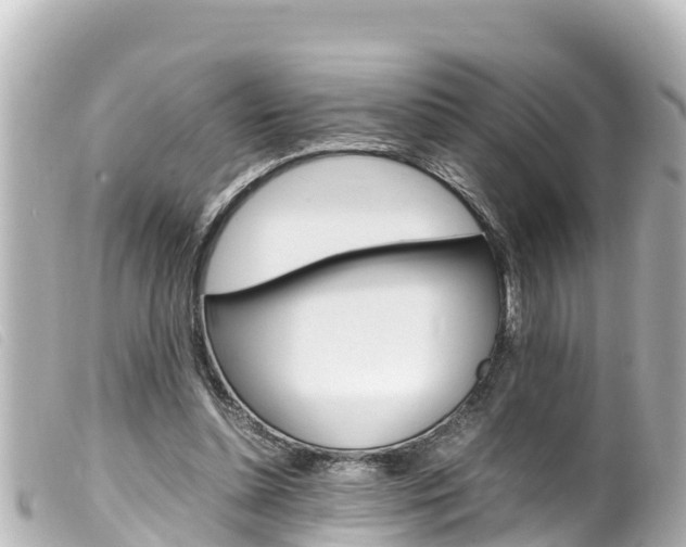 X0000100220348200805300752