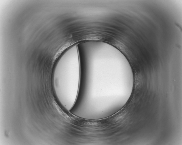 X0000100220349200805300752