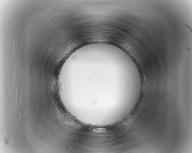 X0000100220355200805300752