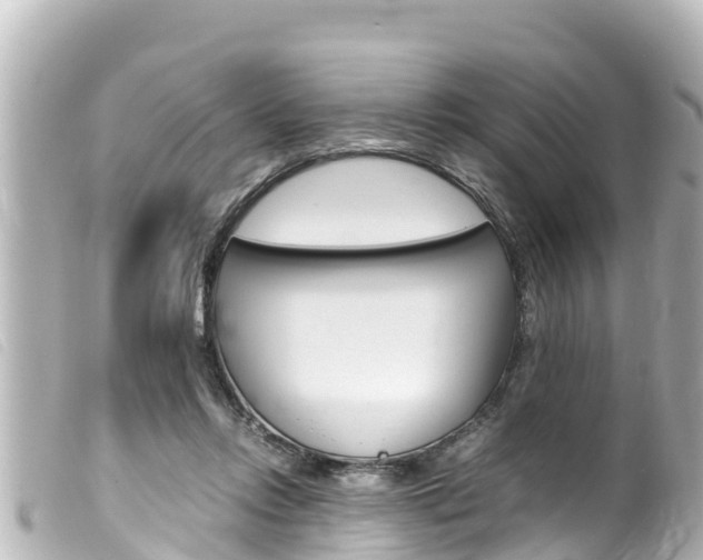 X0000100220358200805300752