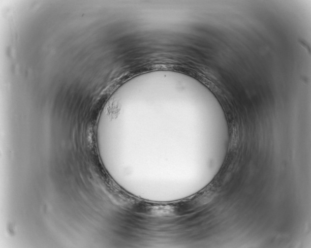 X0000100220363200805300752
