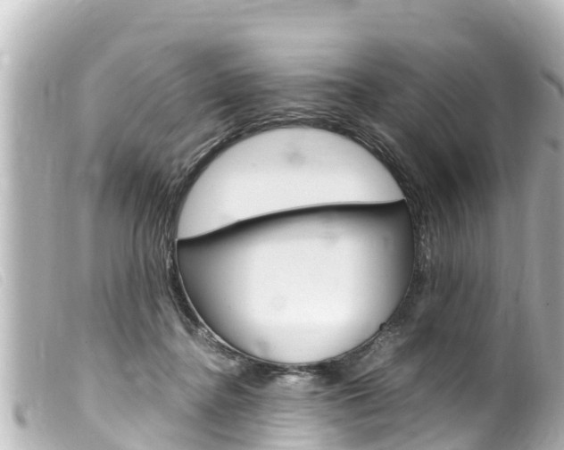 X0000100220364200805300752