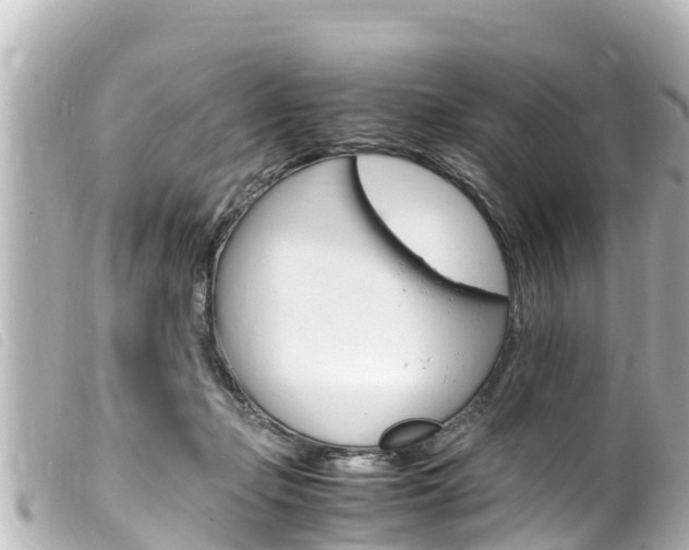 X0000100220365200805300752