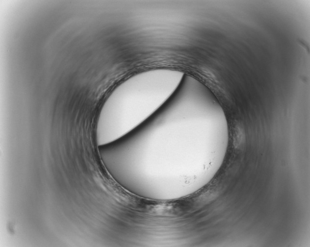 X0000100220366200805300752