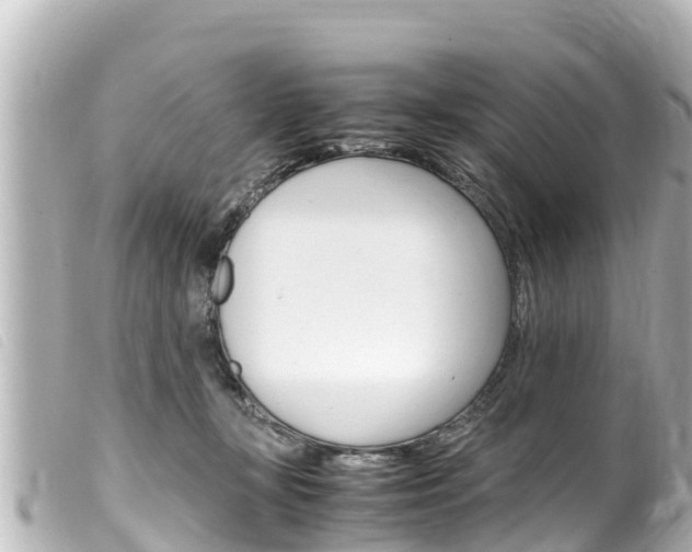X0000100220367200805300752