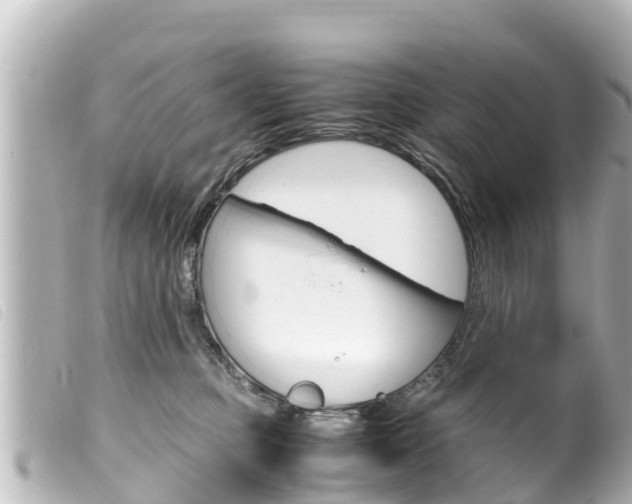 X0000100220373200805300752