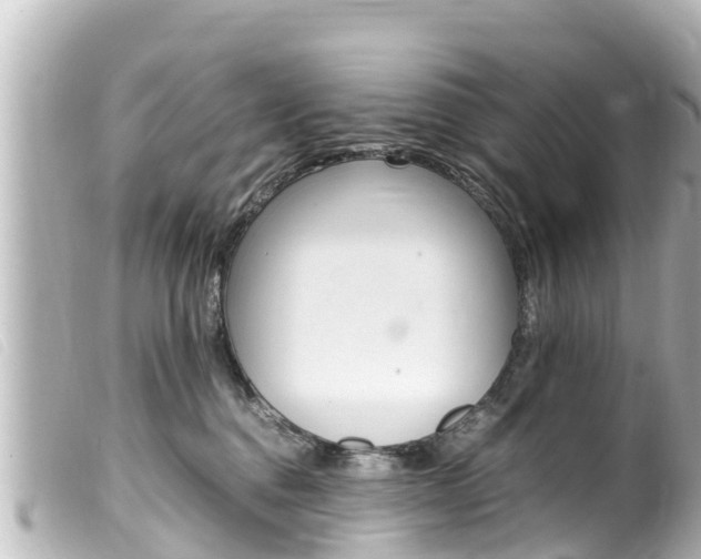 X0000100220376200805300752
