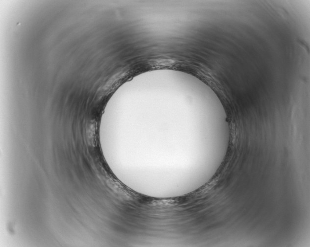 X0000100220378200805300752