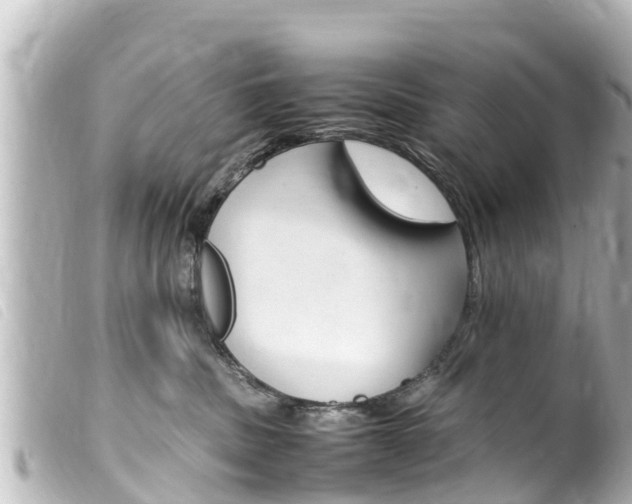 X0000100220379200805300753