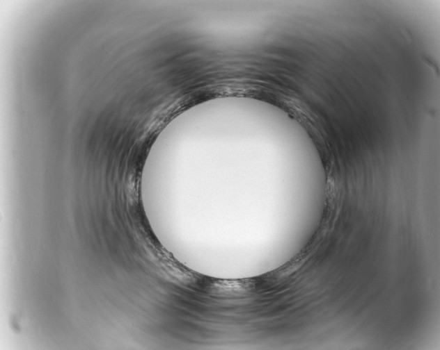 X0000100220381200805300753