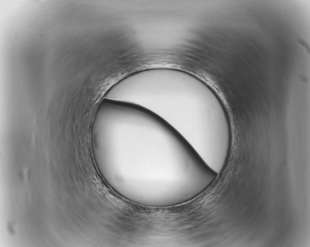 X0000100220385200805300752