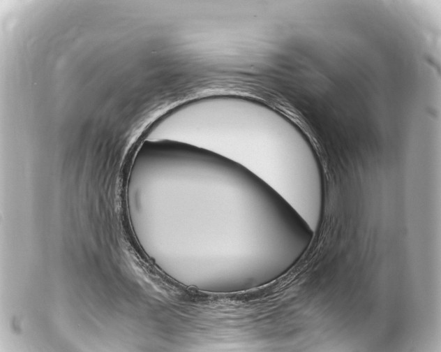 X0000100220387200805300752