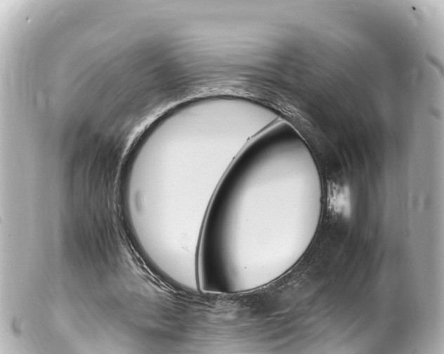 X0000100220388200805300752