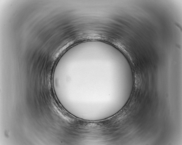 X0000100220390200805300752