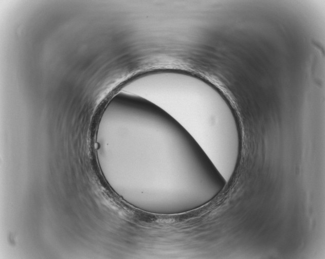 X0000100220391200805300752