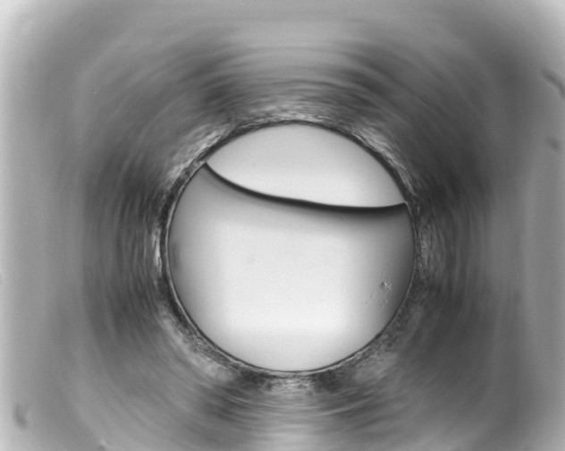 X0000100220398200805300752