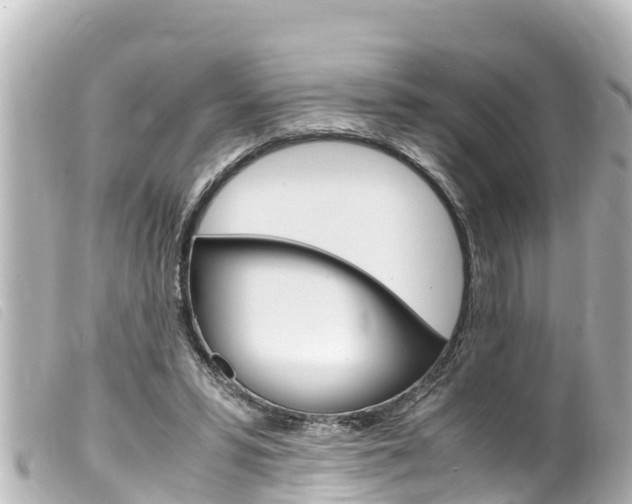 X0000100220399200805300752
