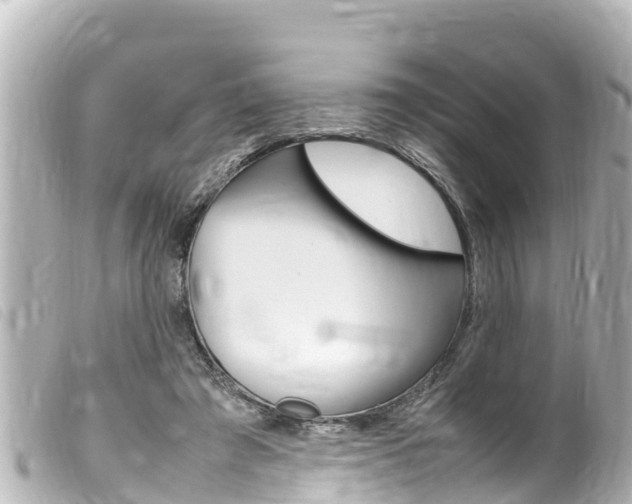 X0000100220401200805300752