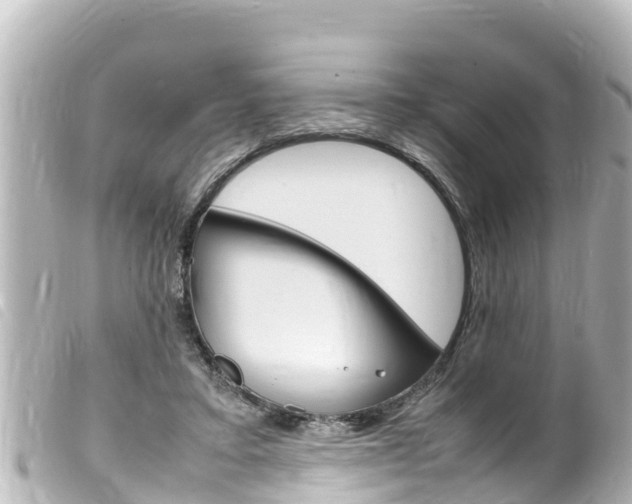 X0000100220403200805300752