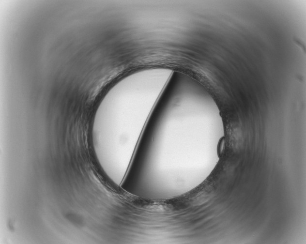 X0000100220404200805300752