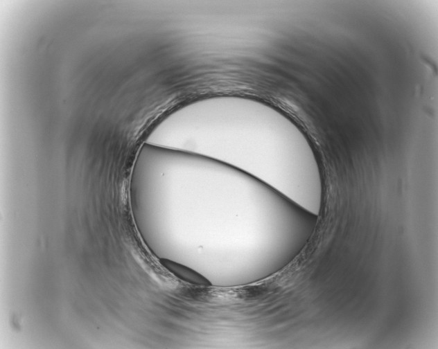 X0000100220405200805300752