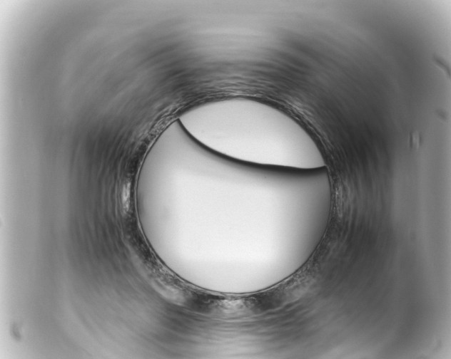X0000100220406200805300752