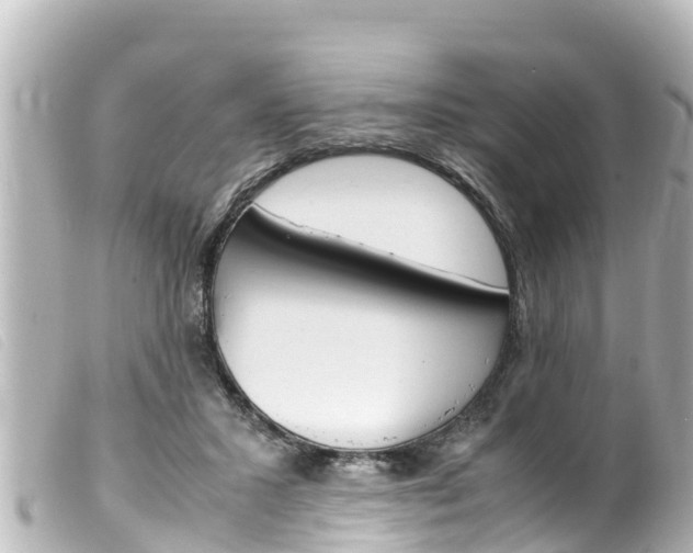 X0000100220407200805300752