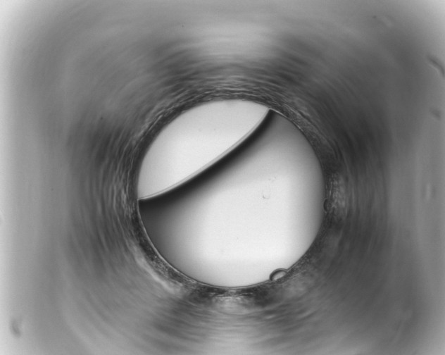 X0000100220408200805300752