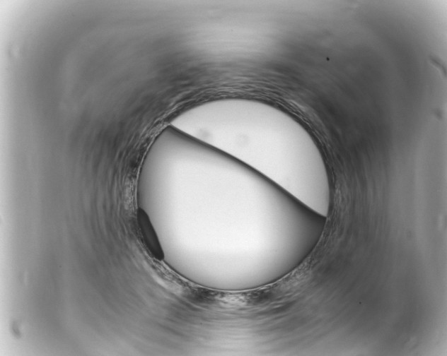 X0000100220409200805300752