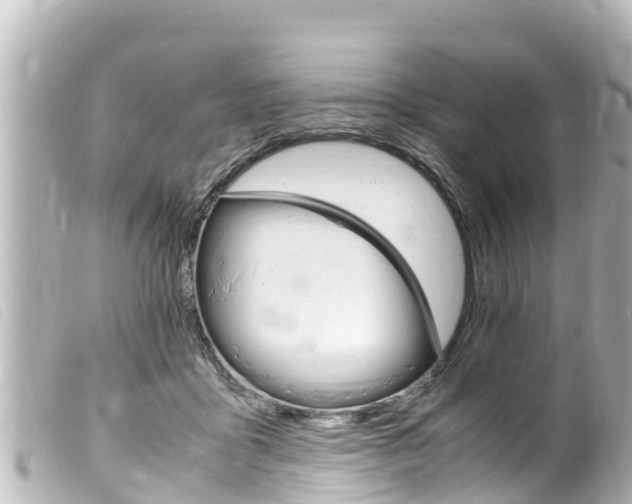 X0000100220411200805300751