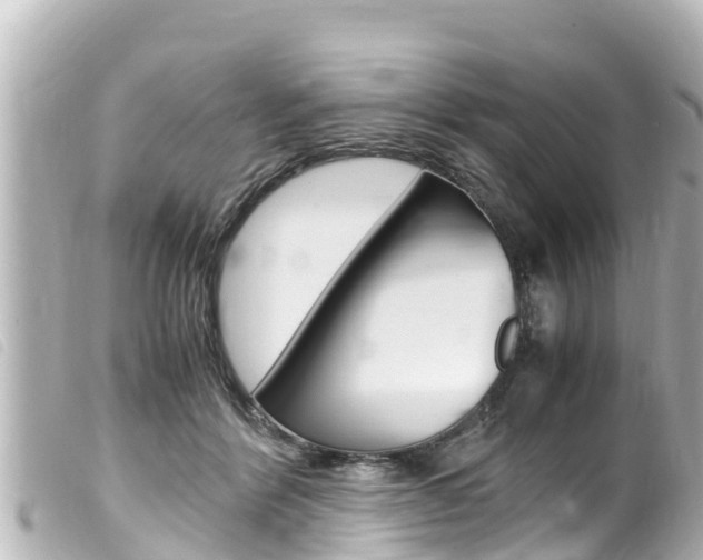 X0000100220412200805300751