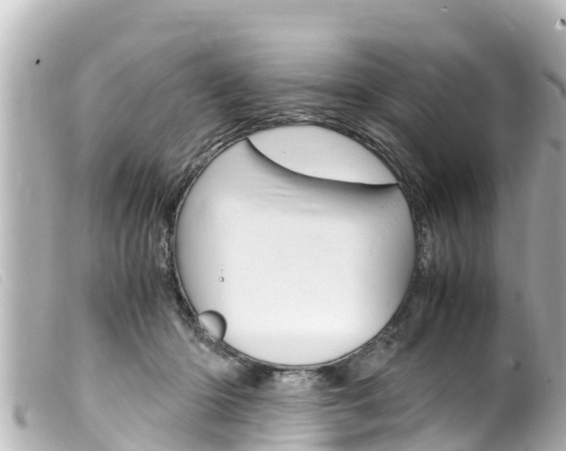 X0000100220414200805300751