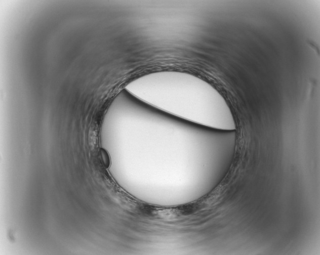 X0000100220417200805300751
